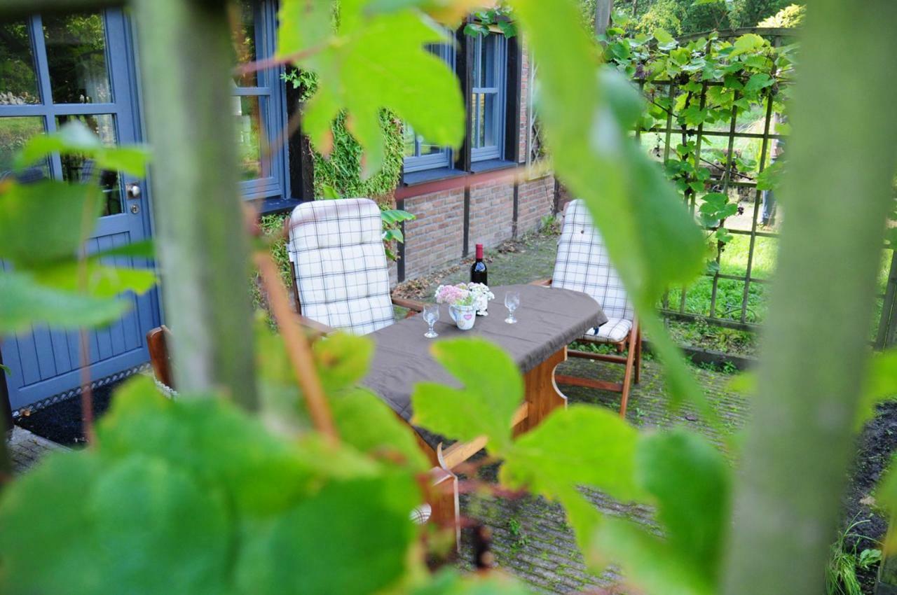 Aaltine 3 Apartment Bad Bentheim Bagian luar foto