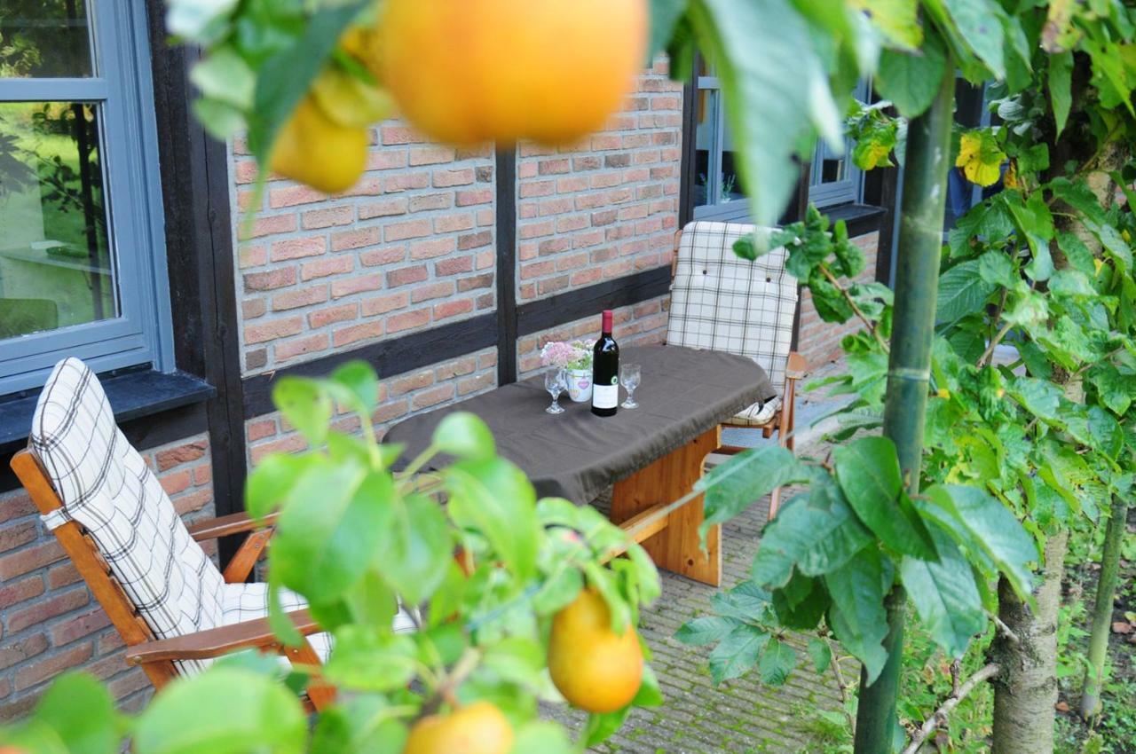 Aaltine 3 Apartment Bad Bentheim Bagian luar foto